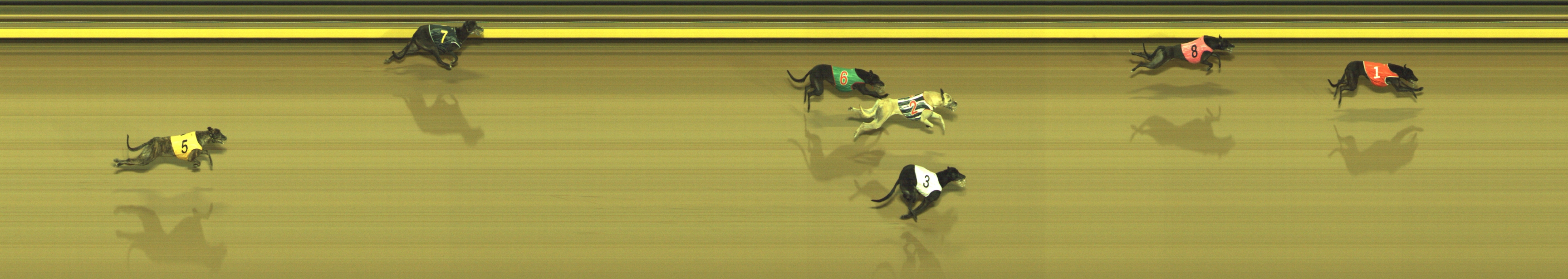 Race result finish photo